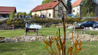 PačinekMad - kopie